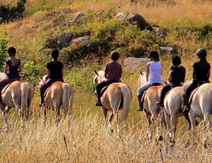 Équitation en Ardèche