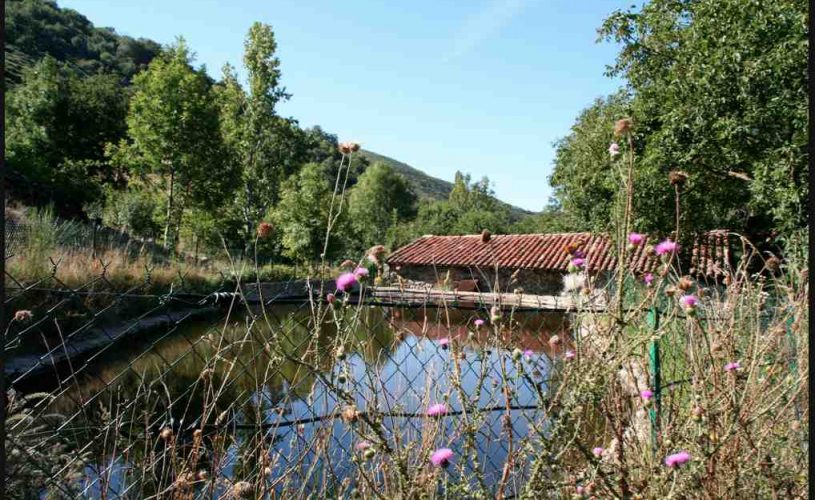 Le Moulin de Raoul